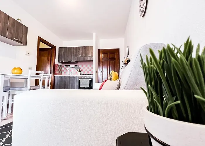 Atene 12 אולביה